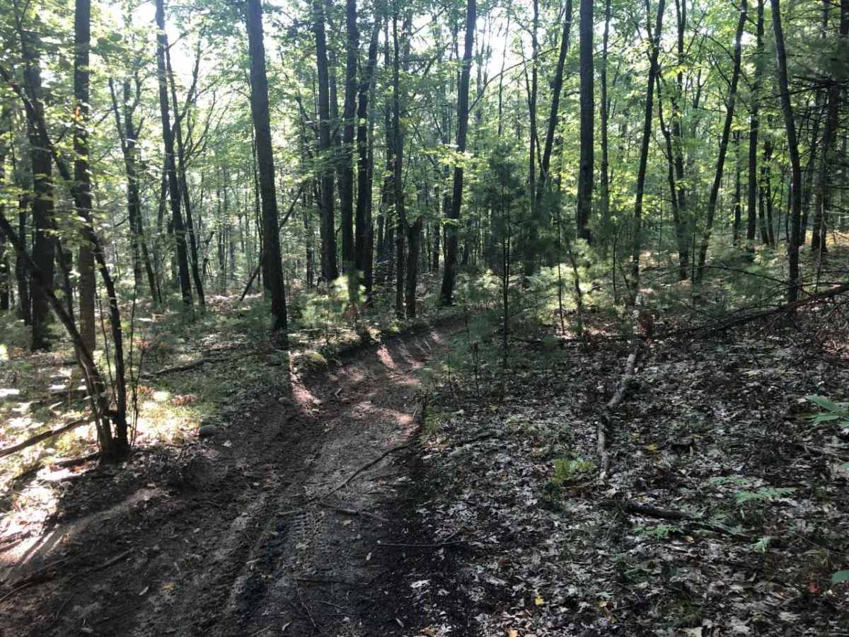 West Missaukee Trail Loop photo 2