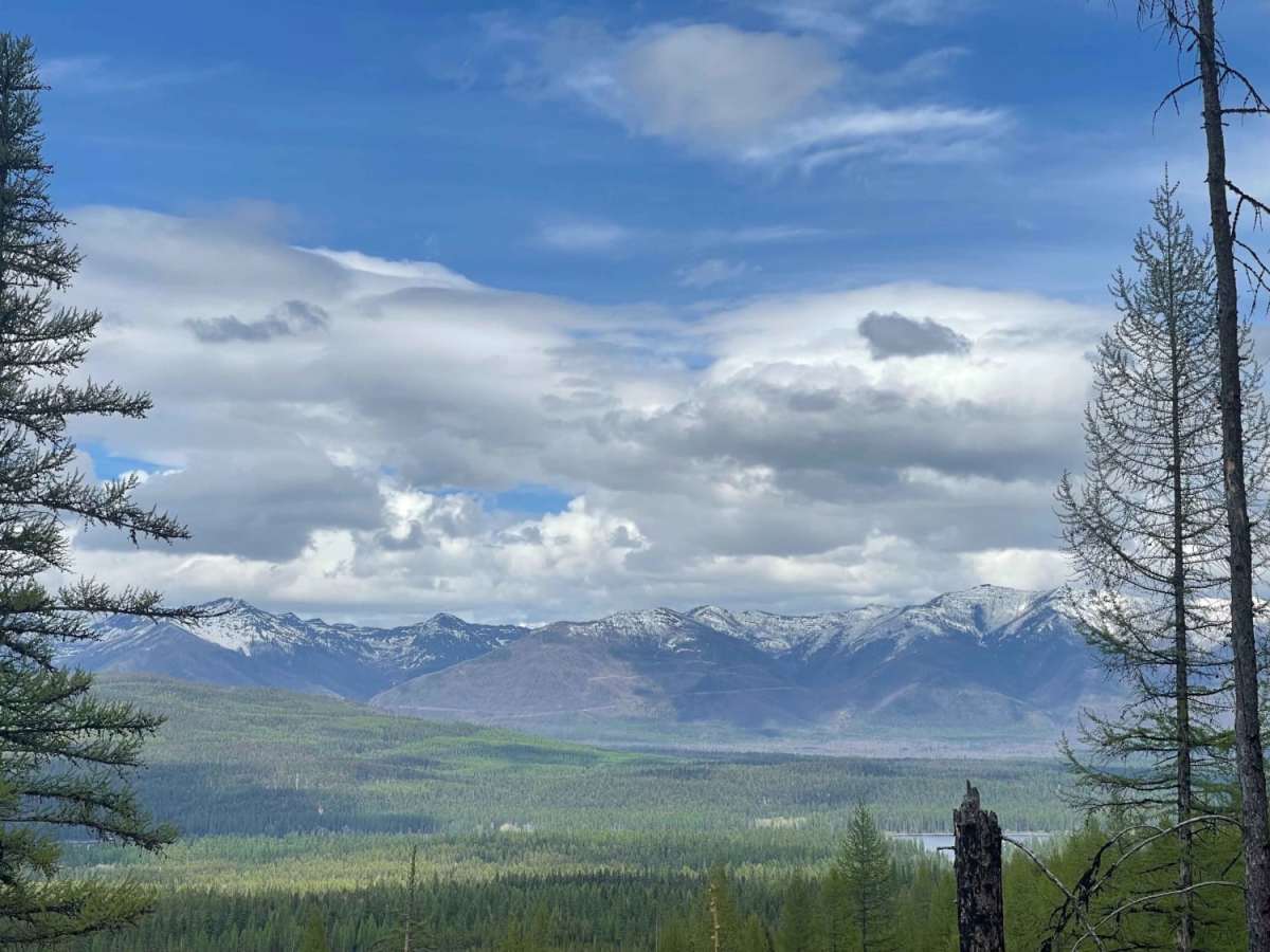 Archibald Loop photo 2