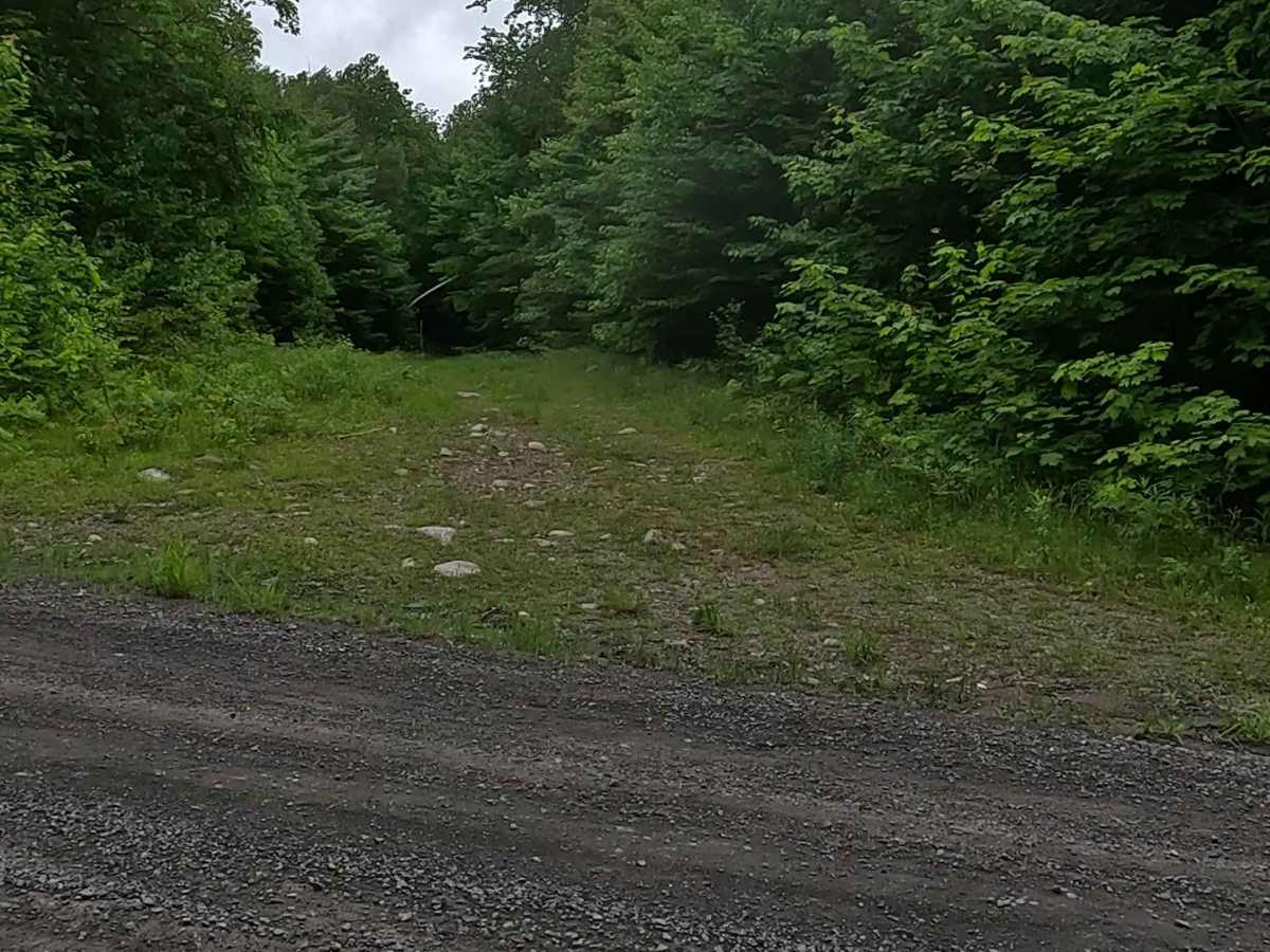 Barnhardt Creek Road photo 6