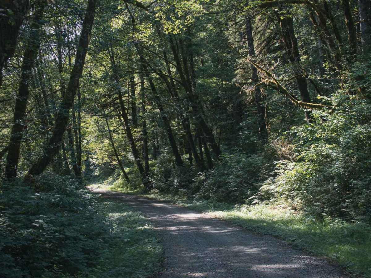 Gopher Creek photo 4