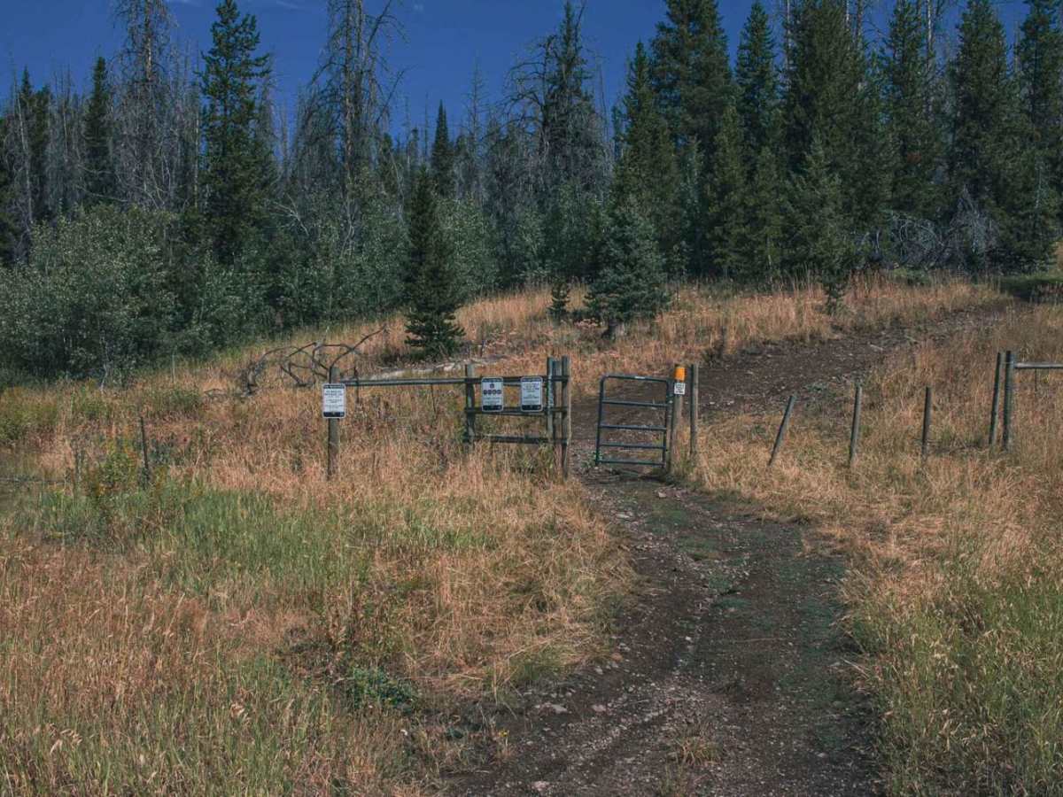 Little Blackfoot photo 5