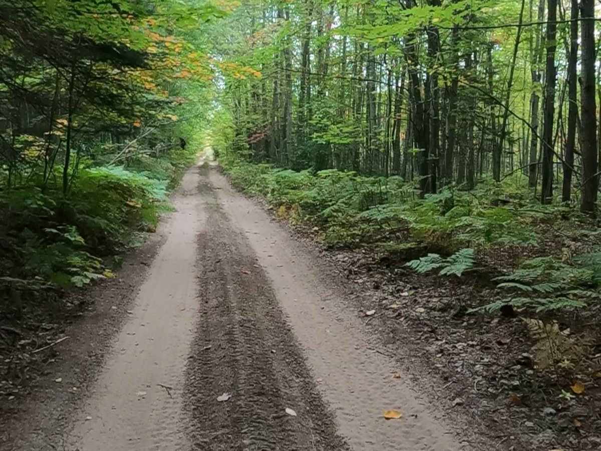 Strickler Truck Road photo 5
