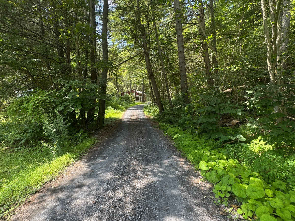 Schoolhouse Road photo 3