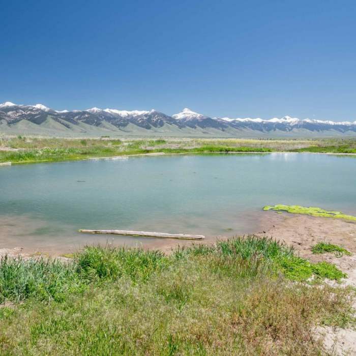 Near Barney Hot Springs