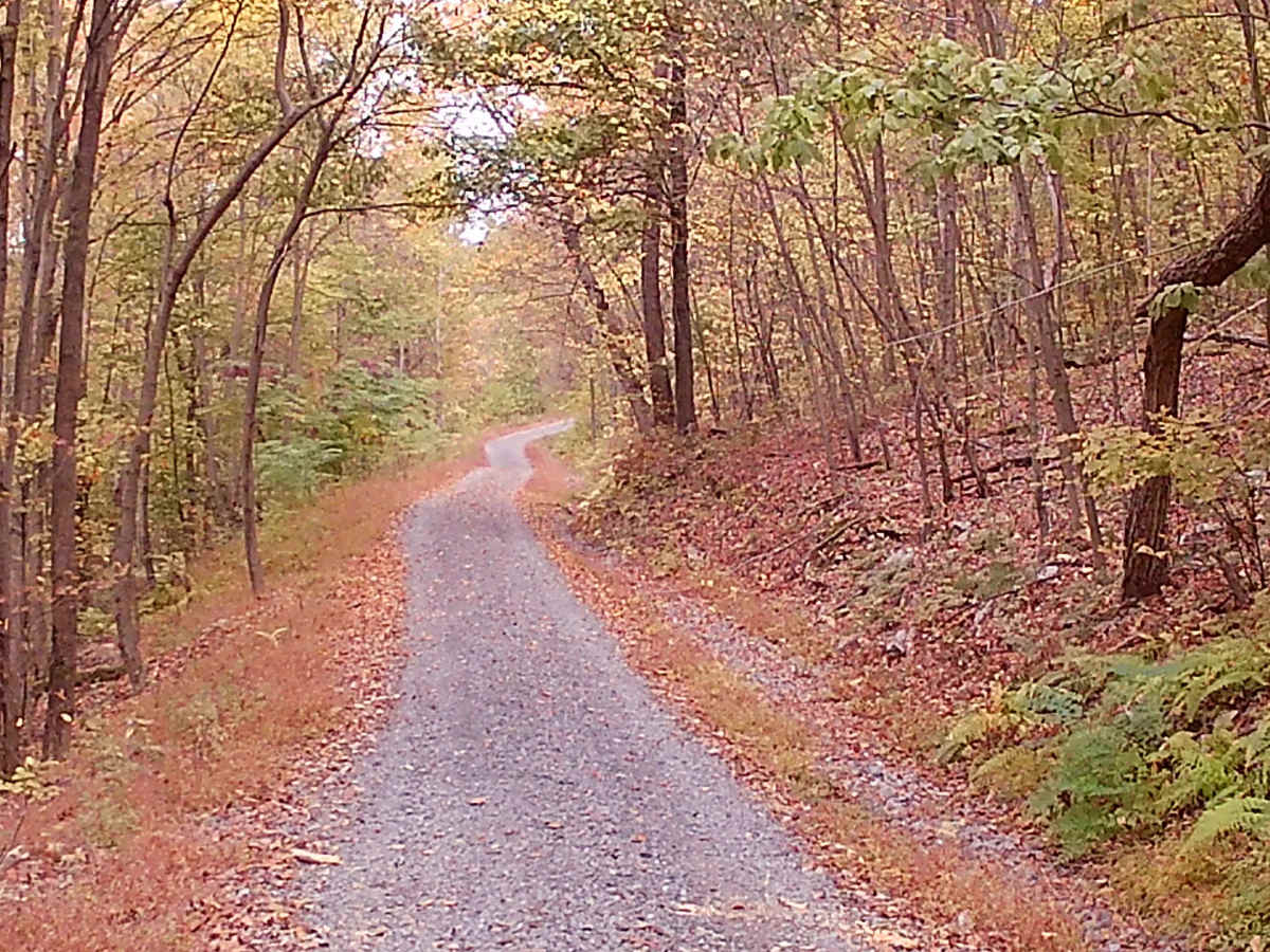 Lamb Gap Trail photo 6