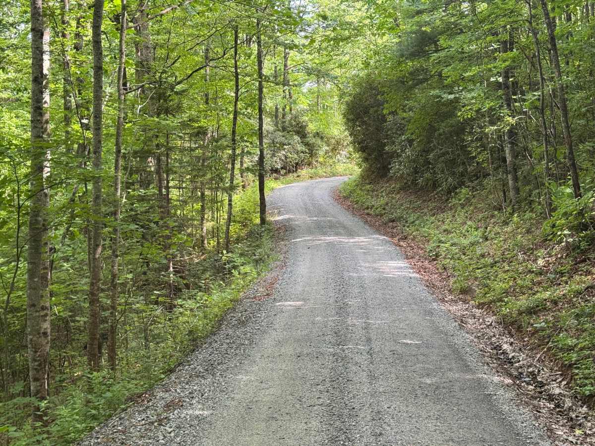 Cove Creek Road - FS 225 photo 6