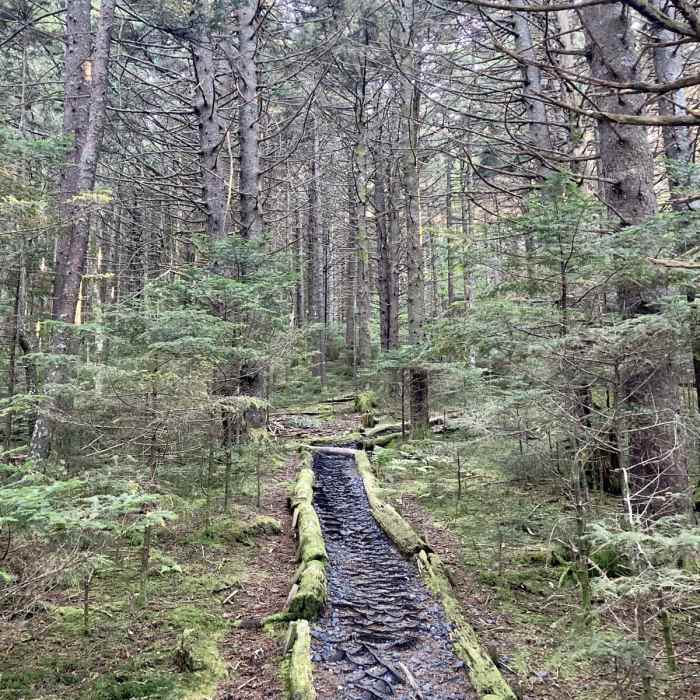 Near Roan High Bluff Near Roan High Bluff
