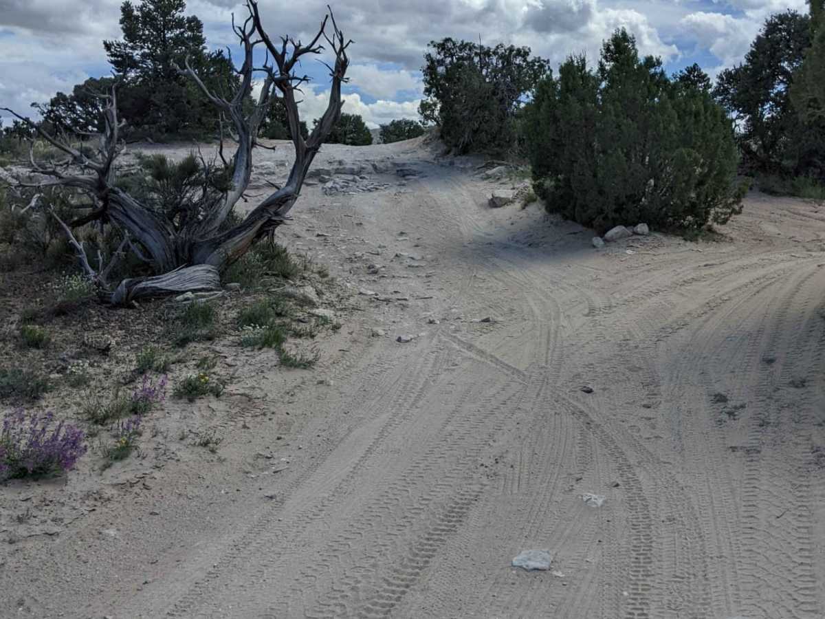 Rattlesnake Arches Jeep Trail photo 6