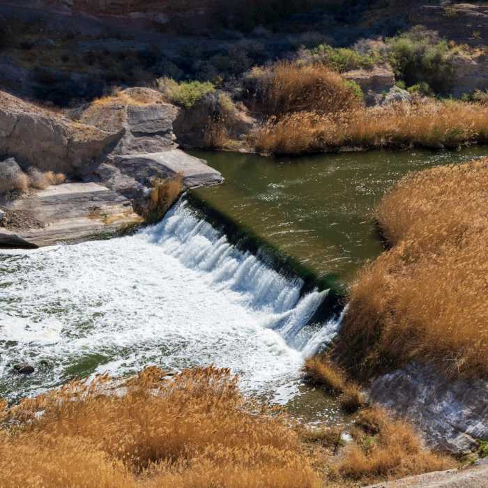 Near Las Vegas Wetlands