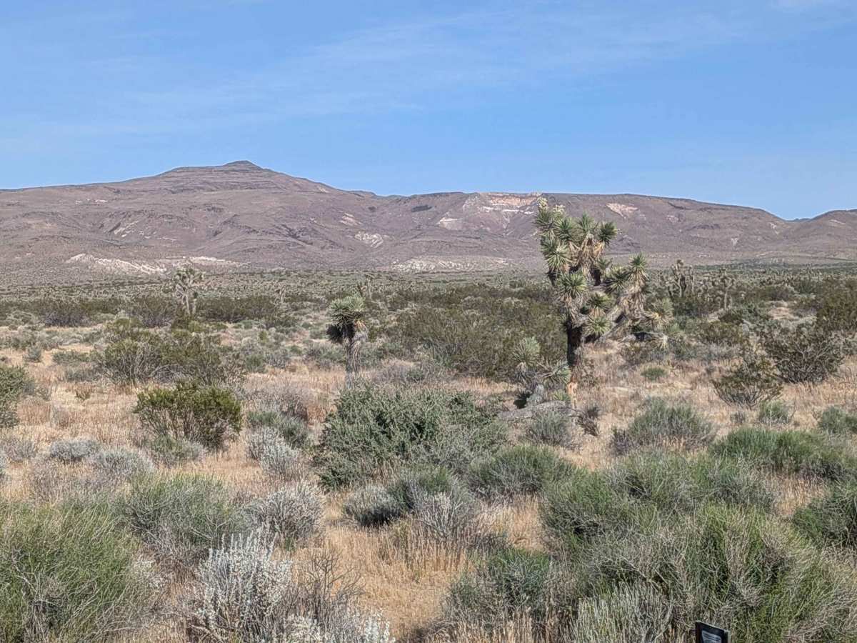 BLM EP458 photo 5