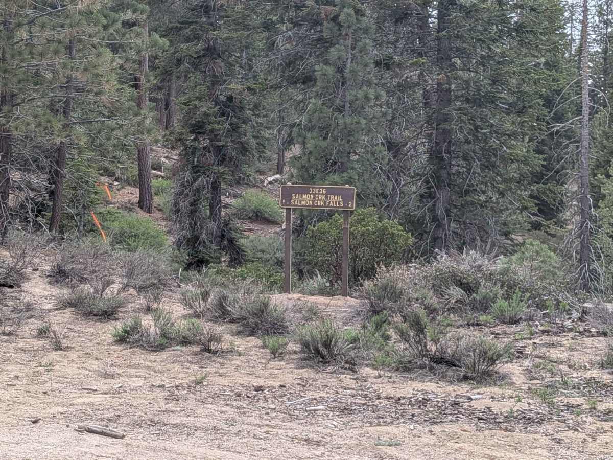 Salmon Creek FS 23S08 photo 6
