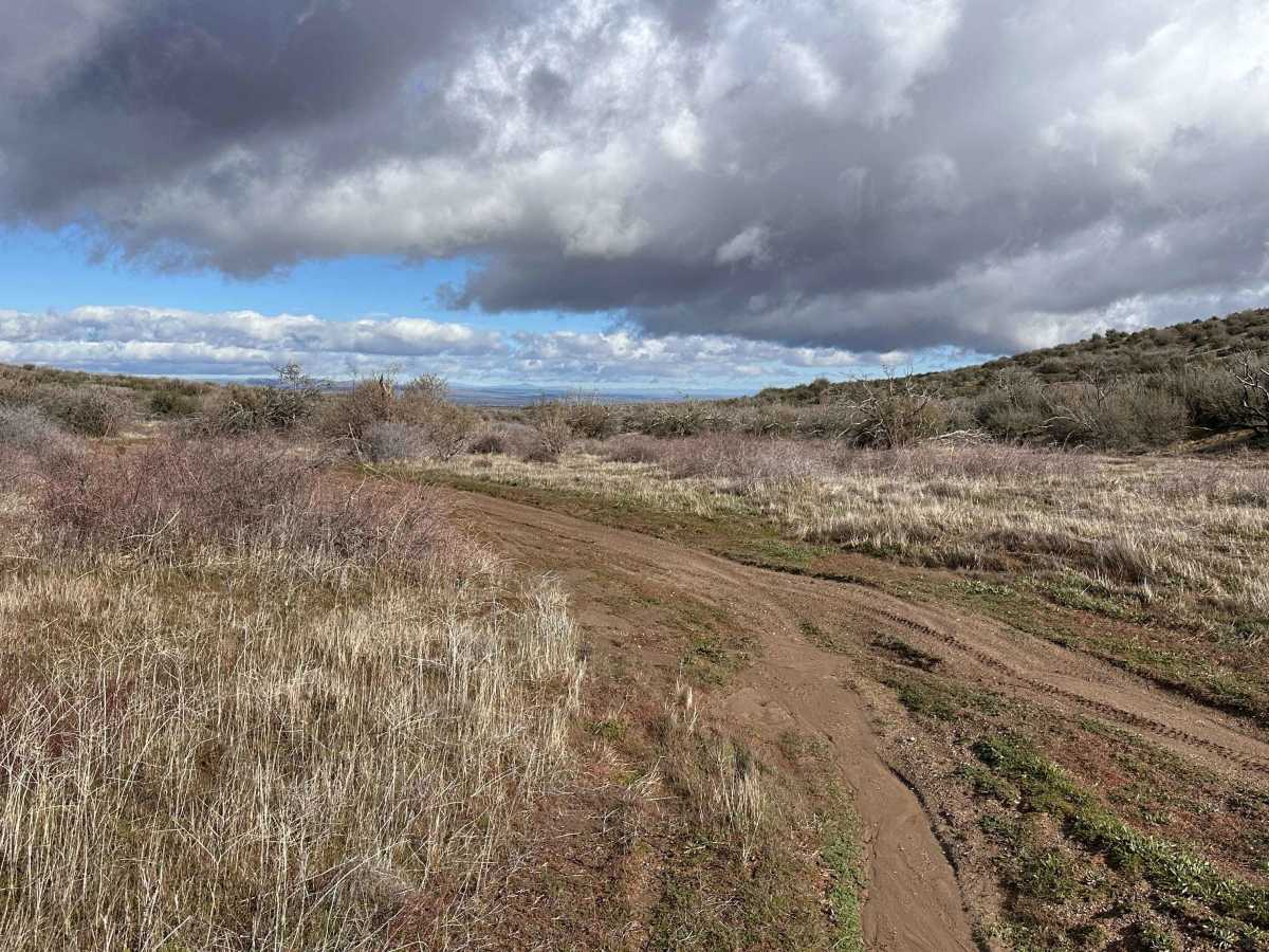 Sand Rip Loop photo 4