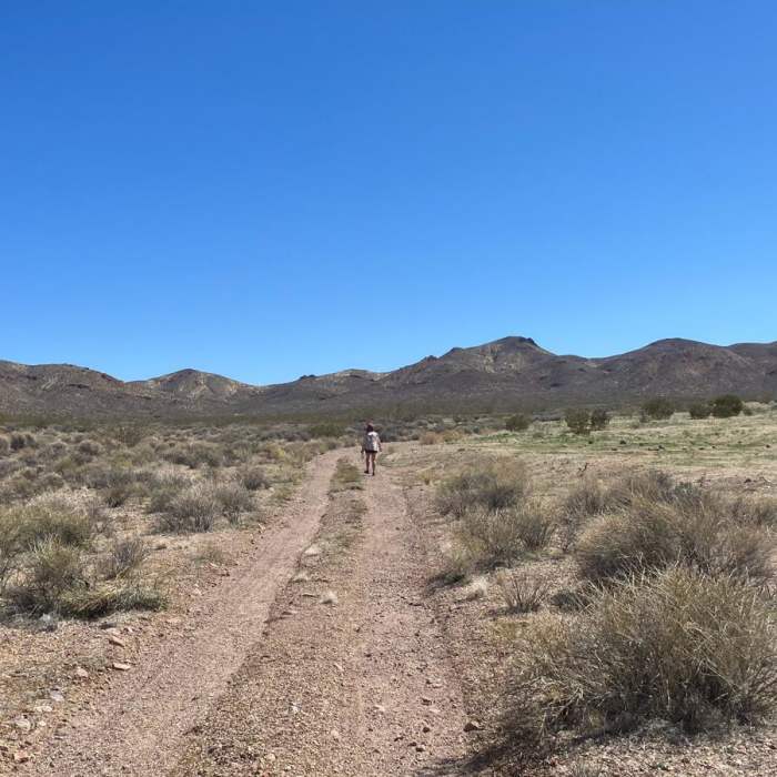 Near Furnace Creek Wash to Green Valley