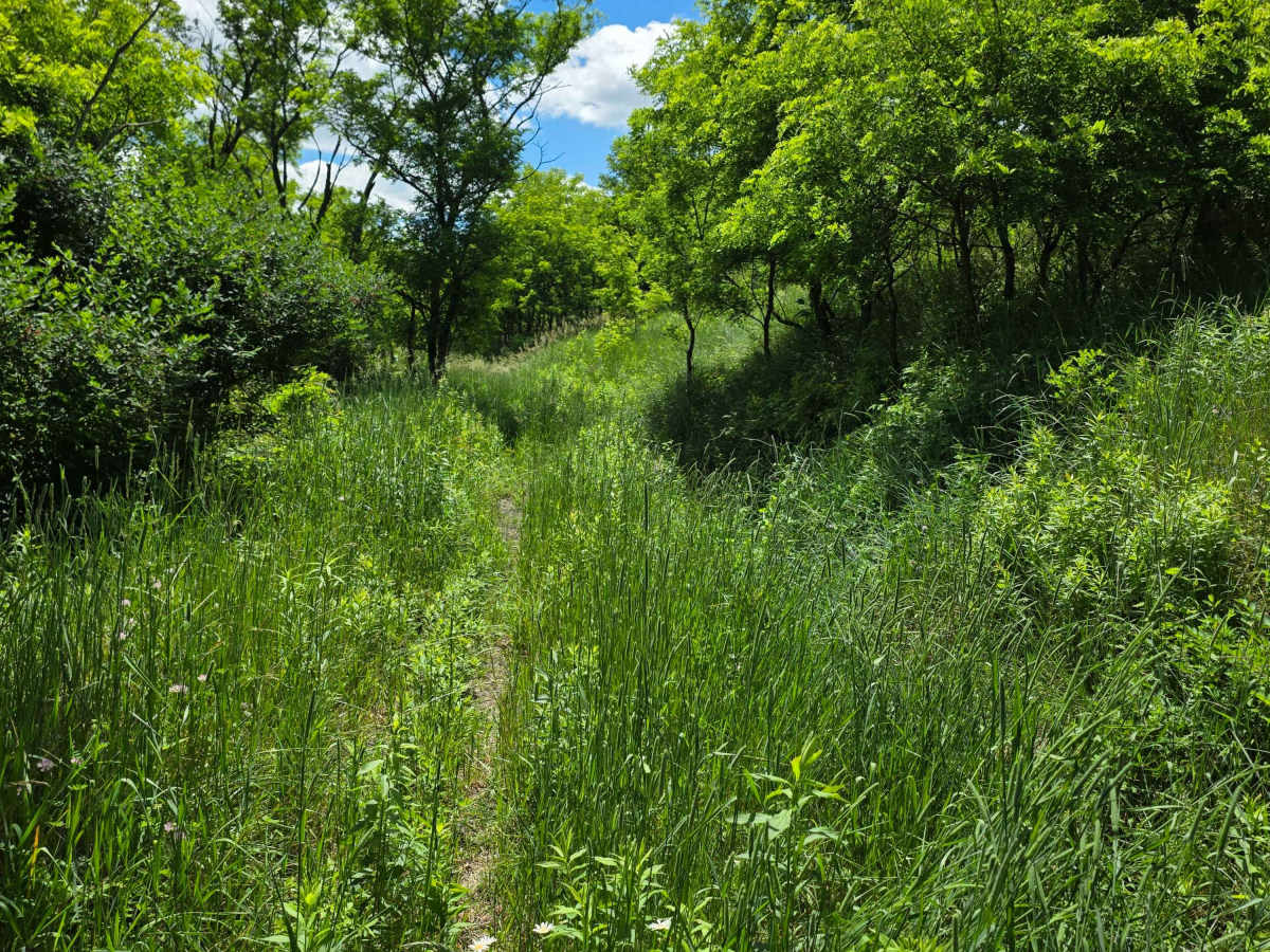 Single Track AD photo 5