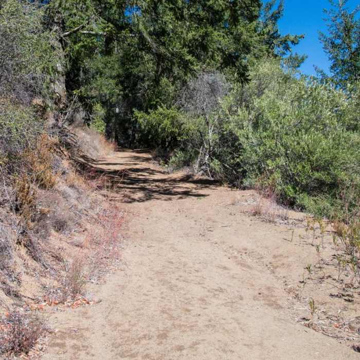 Near Knobcone Point + Black Rock Falls Hike via Contour Trail