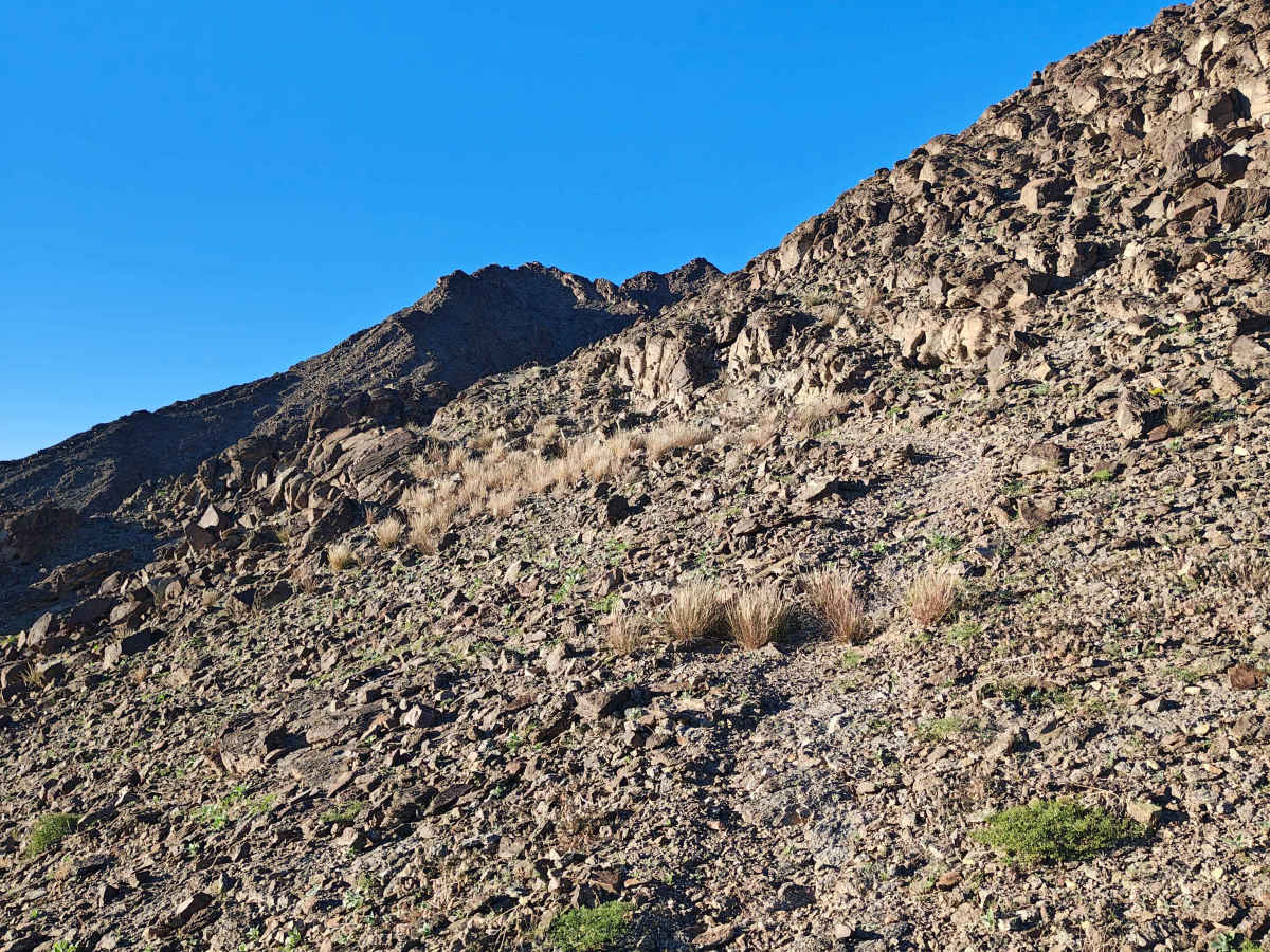 Pasadena Mountain Express - Single Track photo 3