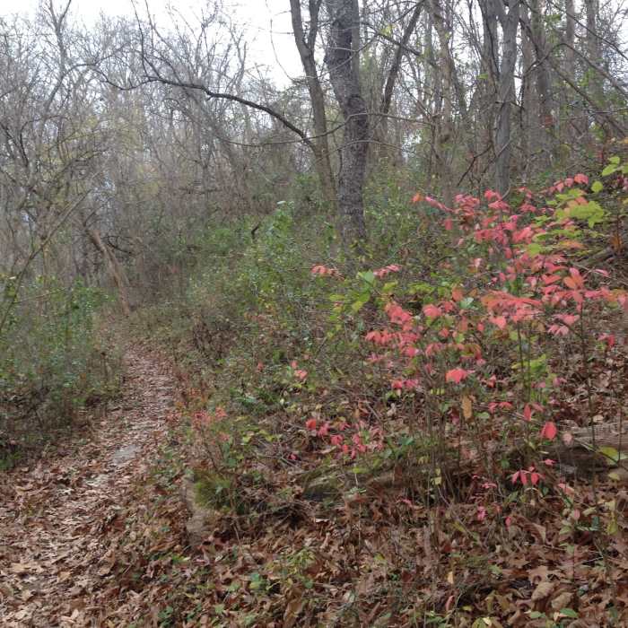 Fall colors are a highlight of this trail. Near Glendale Trail
