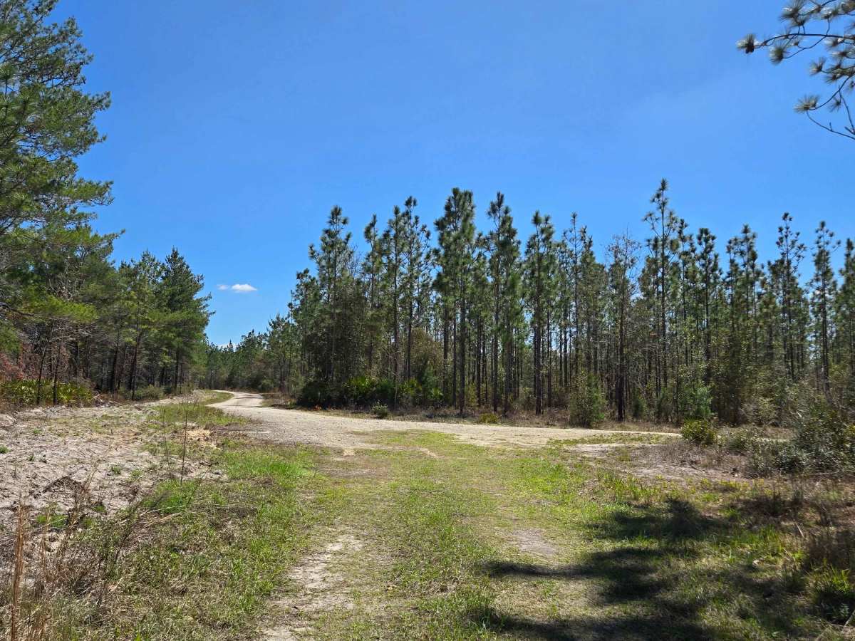 Sandy Trail trail photo