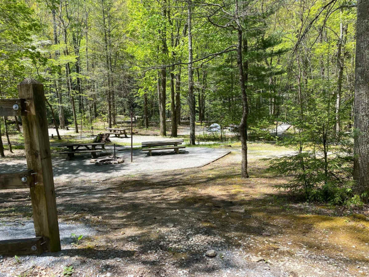 Jennings Creek Road photo 3