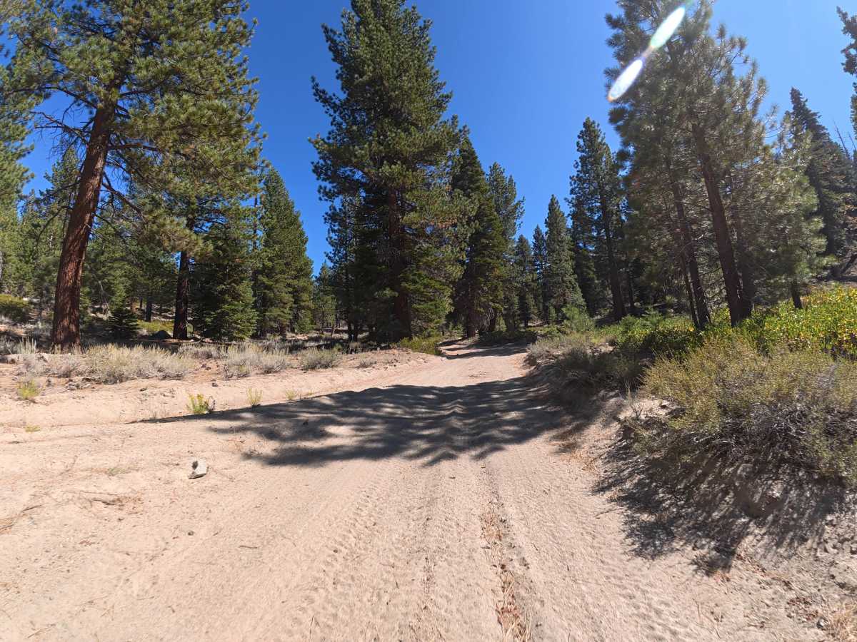 FS 3S08B trail photo