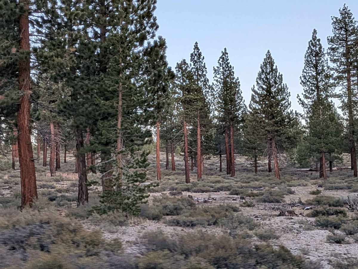 Sandy Flat Bypass - FS 1S86 photo 2
