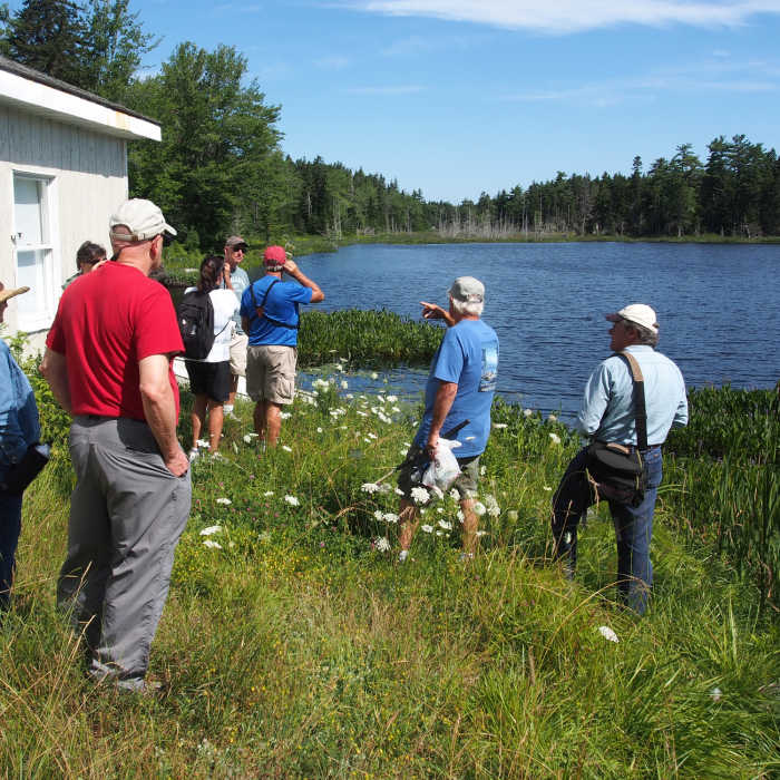 Bird watching at Folly Pond Near Watershed Trail