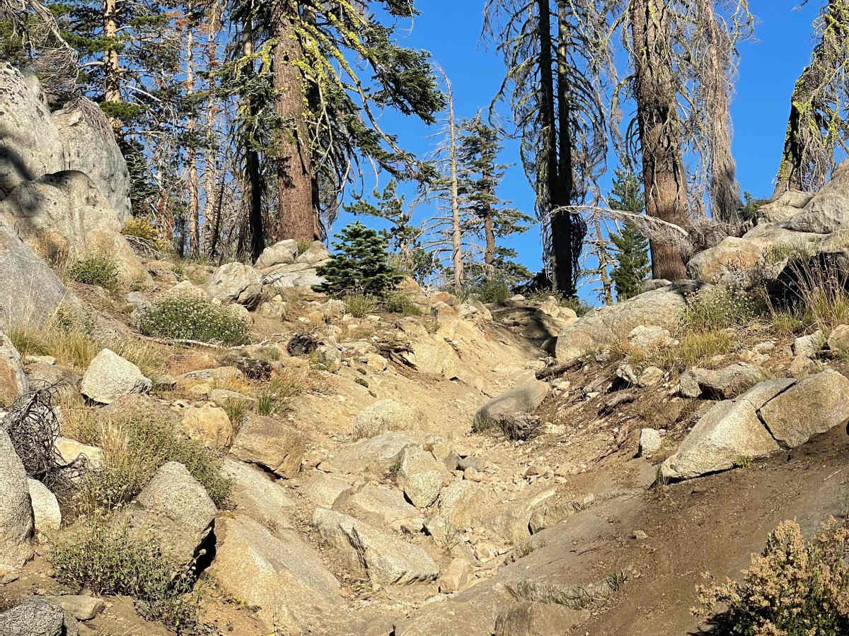 Buck Pasture Trail (East) trail photo