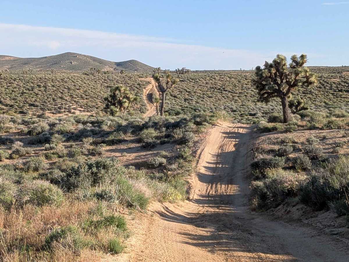BLM SC161 trail photo