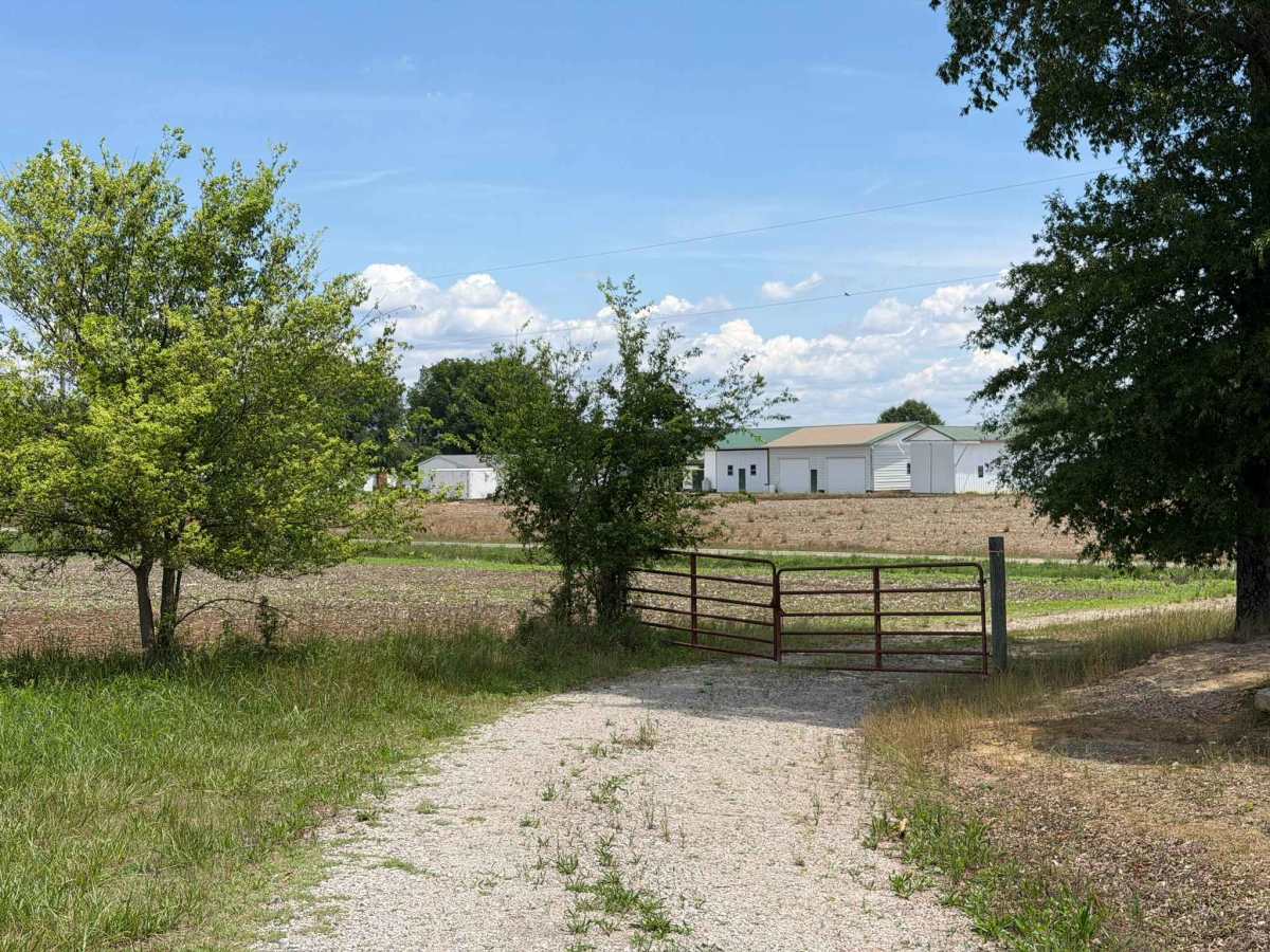 Andrews Pond Road photo 2