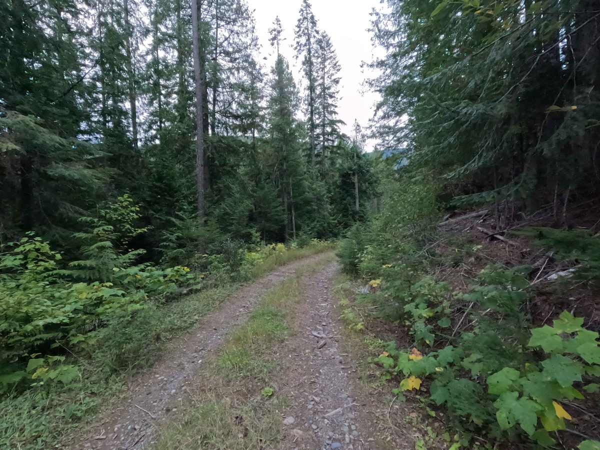 Dry Canyon Ridge - FS 1933300 photo 2