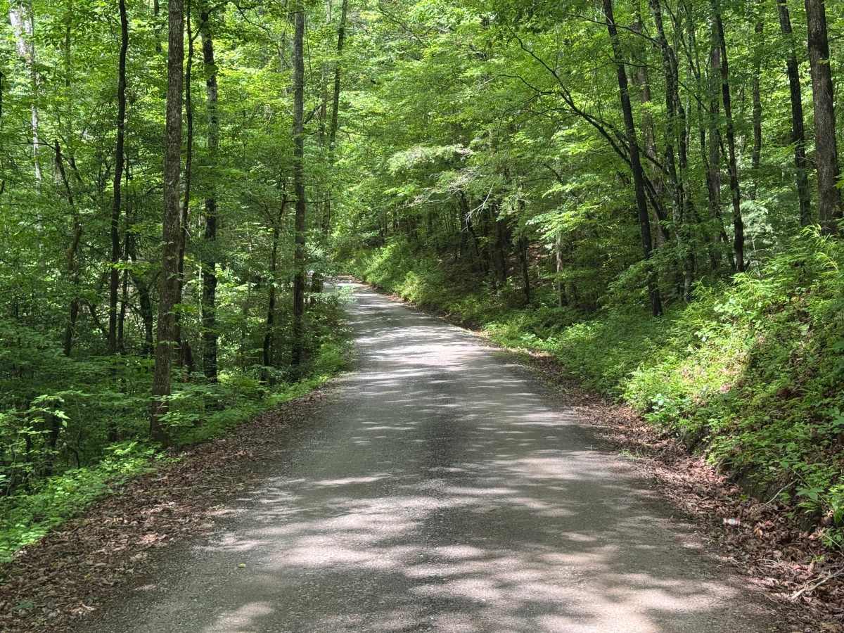 Prospect Road photo 4