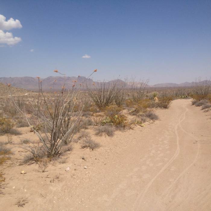 One of the cleaner sections. Near Ocotillo Loop