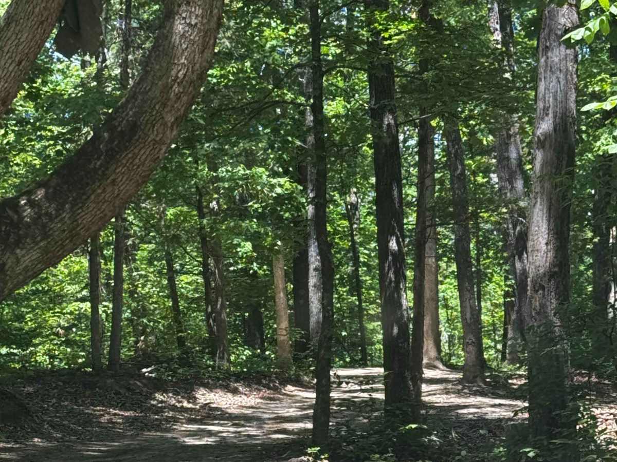 Perimeter Trail photo 3