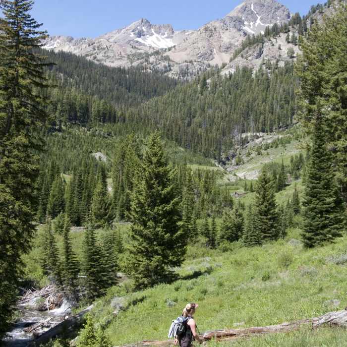 Near North Fork of the Big Wood - West Fork of the North Fork Near North Fork of the Big Wood - West Fork of the North Fork