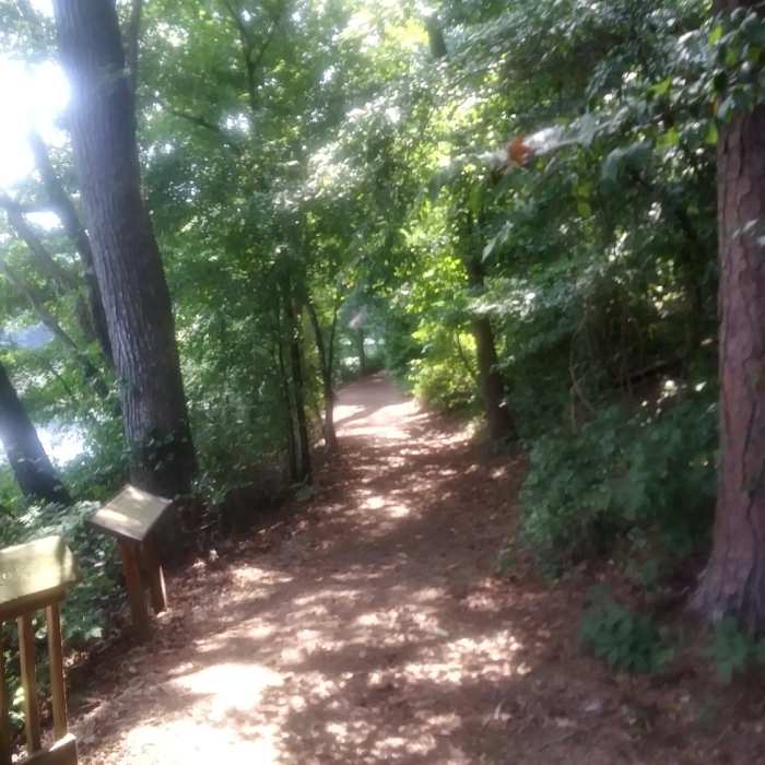 Near High Ridge Trail