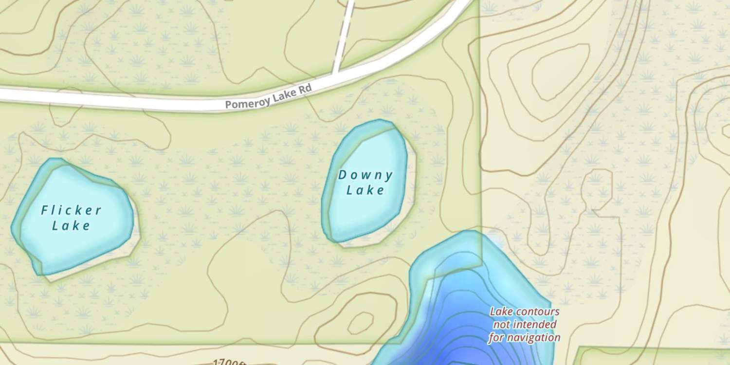 Downy Lake
