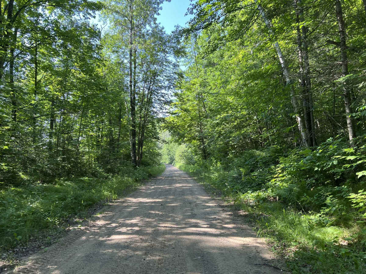 Deep Hole Lake Road photo 2