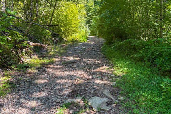 Shenipsit Trail System