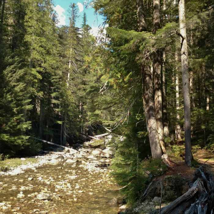 Near American Falls Out-and-Back