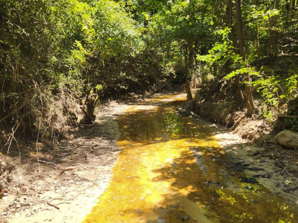 Spring Fed Creek photo 3