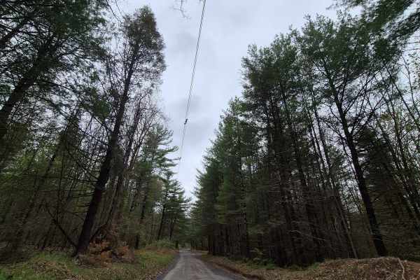 Siglerville-Millheim Pike