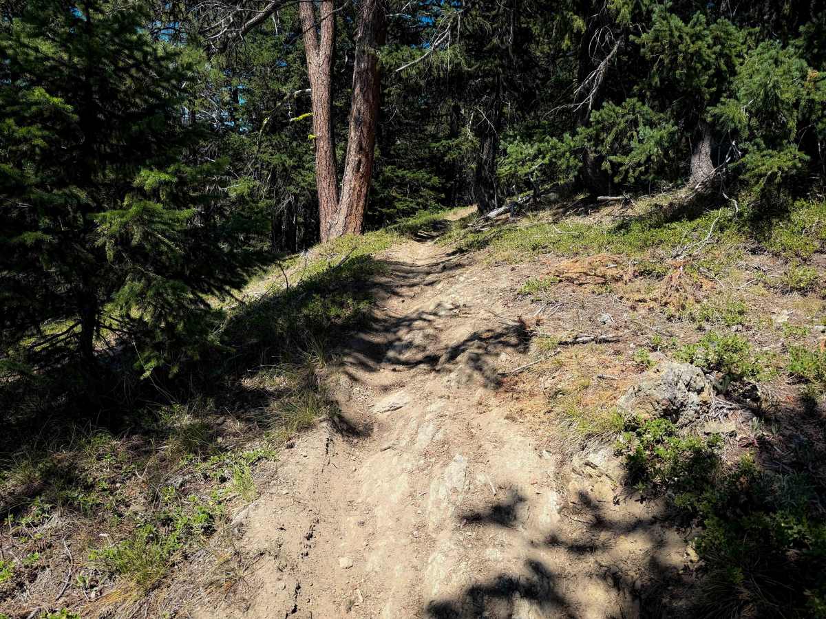 Lightening Point Trail 1377.2  photo 3