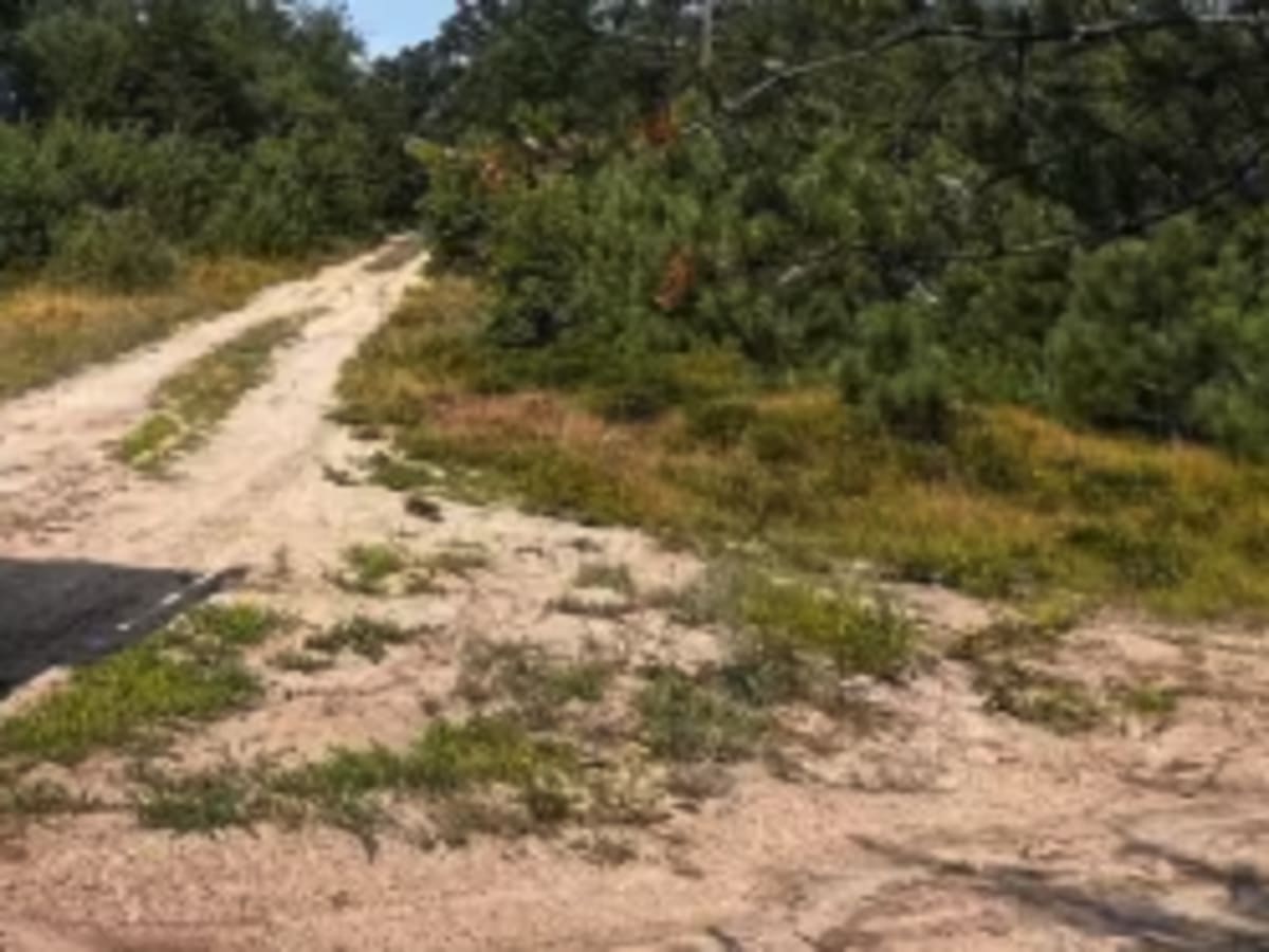 Trail 10 photo 3