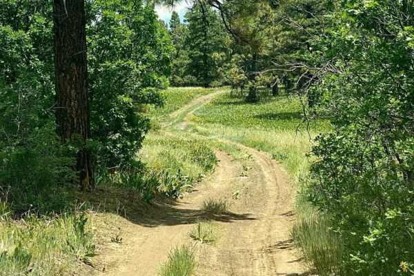 Eight Mile Mesa E-USFS Rd #651E