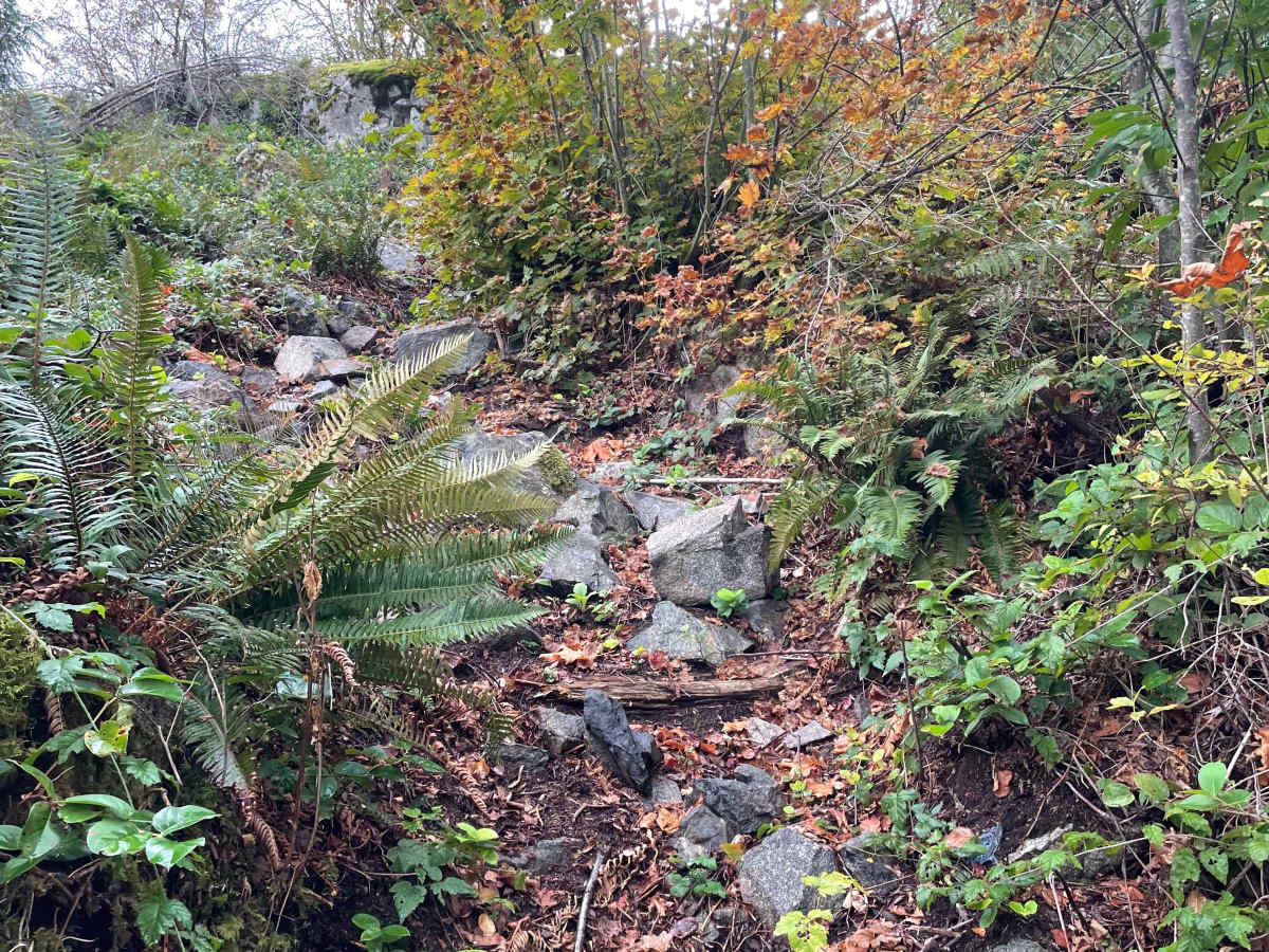 Throttle Jockey trail photo