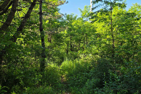 Single Track J3