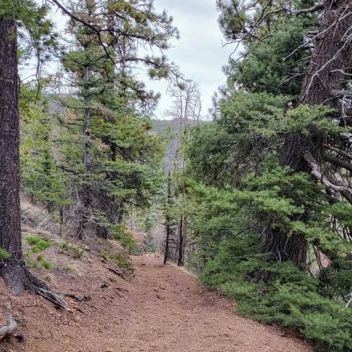 Near Second Mace Spur #1322.A