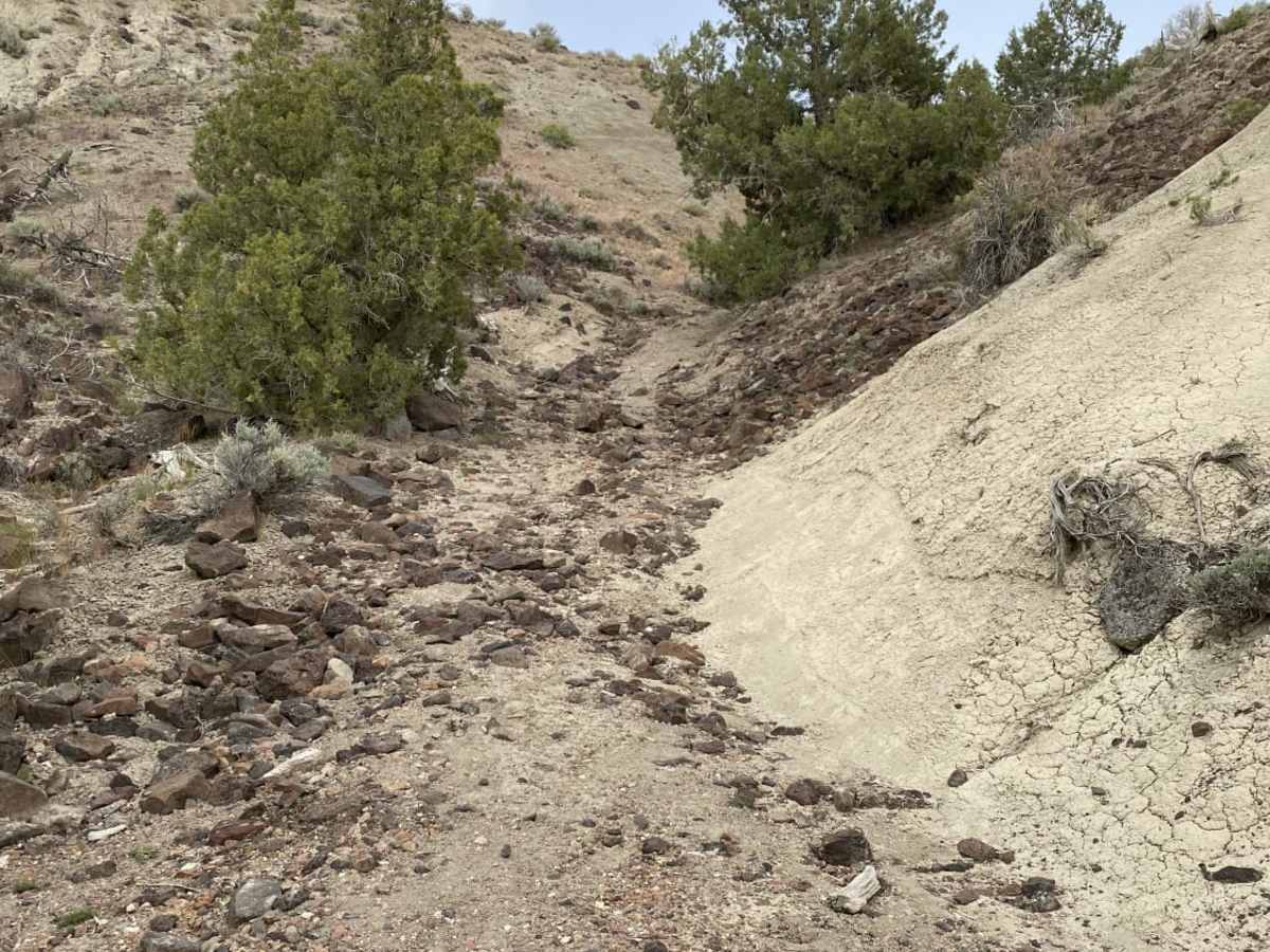 West Steam Shovel OHV Trail photo 3