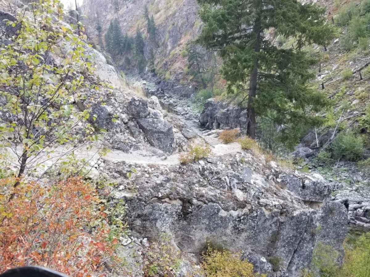 South Fork of the Salmon River Trail photo 2