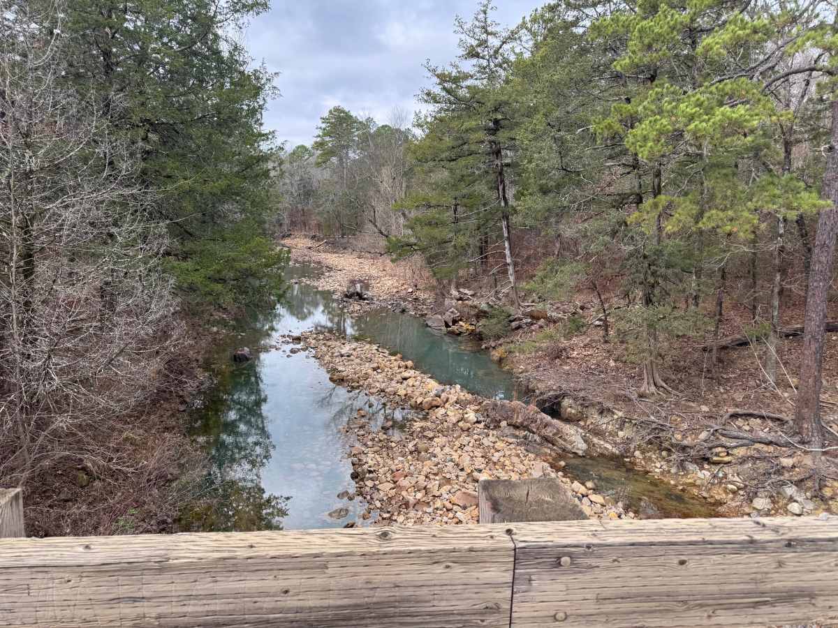 North Fork Road/Trail 86 photo 3